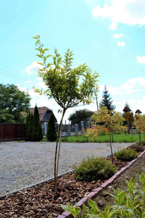 Rozsi Mama Villa Совата Екстериор снимка