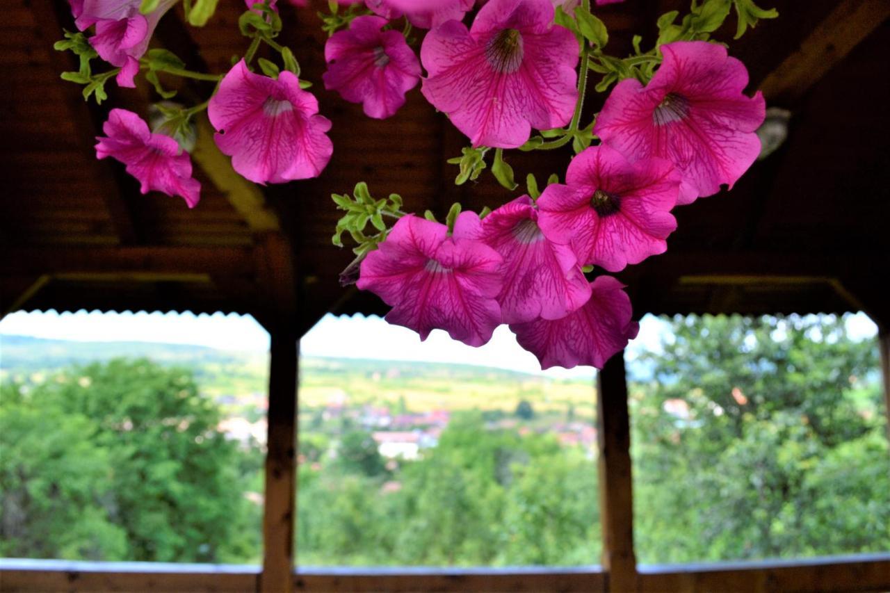 Rozsi Mama Villa Совата Екстериор снимка